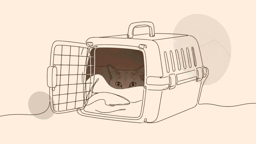 Minimalistische Linienkunst einer ängstlichen Katze, die vorsichtig aus einer geöffneten Transportbox blinzelt. Tierschutzkatze Ausland adoptieren