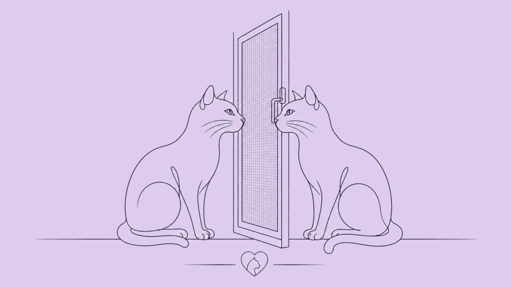 Katzen zusammenführen Minimalistische Linienkunst von zwei Katzen, die sich neugierig durch die Maschen einer Gittertür hindurch ansehen